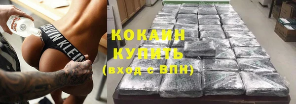 прущие грибы Богданович