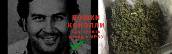 PSILOCYBIN Бугульма