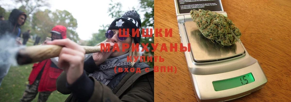 PSILOCYBIN Бородино