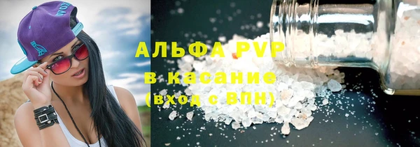 PSILOCYBIN Бородино