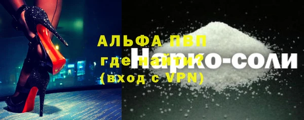 PSILOCYBIN Бородино