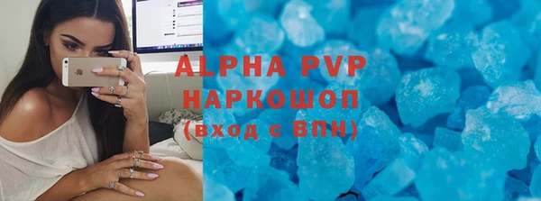 PSILOCYBIN Бородино