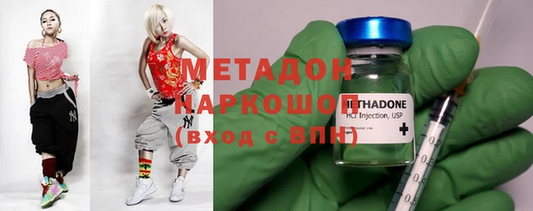 PSILOCYBIN Бородино