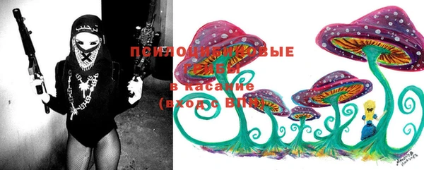 PSILOCYBIN Бородино